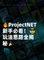 🔥ProjectNET新手必看！😎玩法思路全揭秘🎉