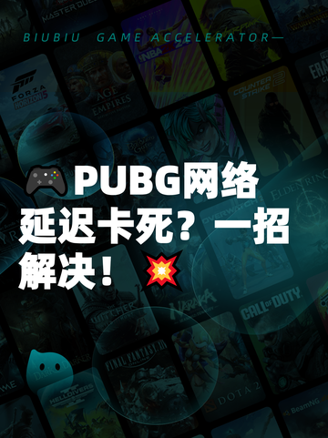 🎮PUBG网络延迟卡死？一招解决！💥截图1