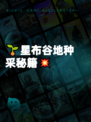🌱星布谷地种采秘籍💥