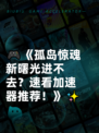 🎮《孤岛惊魂新曙光进不去？速看加速器推荐！》✨