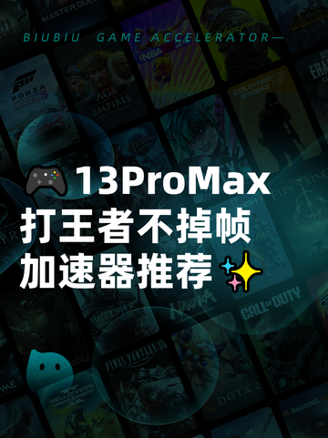 🎮13ProMax打王者不掉帧加速器推荐✨截图1