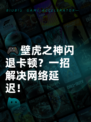 🎮壁虎之神闪退卡顿？一招解决网络延迟！