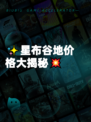 ✨星布谷地价格大揭秘💥