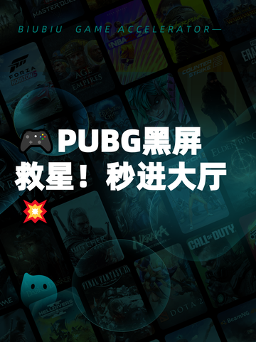 🎮PUBG黑屏救星！秒进大厅💥截图1