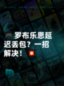 🎮罗布乐思延迟丢包？一招解决！💥