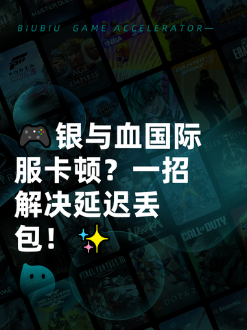 🎮银与血国际服卡顿？一招解决延迟丢包！✨截图1