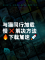 与猫同行加载慢❌解决方法🔥下载加速🚀