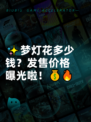 ✨梦灯花多少钱？发售价格曝光啦！💰🔥