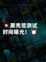 💥黑秃鹫测试时间曝光！⏰