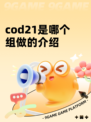 cod21是哪个组做的介绍