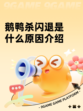 鹅鸭杀闪退是什么原因介绍