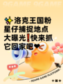 ✨洛克王国粉星仔捕捉地点大曝光❗快来抓它回家吧❤