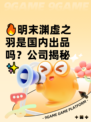 🔥明末渊虚之羽是国内出品吗？公司揭秘✨
