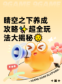 晴空之下养成攻略✨超全玩法大揭秘🌞