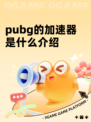 pubg的加速器是什么介绍