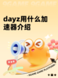 dayz用什么加速器介绍