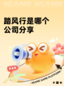 踏风行是哪个公司分享
