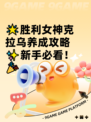 🌟胜利女神克拉乌养成攻略✨新手必看！🎉
