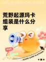 荒野起源玛卡组装是什么分享