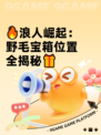 🔥浪人崛起：野毛宝箱位置全揭秘🎁