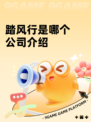 踏风行是哪个公司介绍