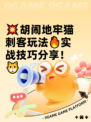 💥胡闹地牢猫刺客玩法🔥实战技巧分享！🐱
