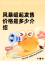 风暴崛起发售价格是多少介绍
