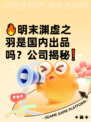 🔥明末渊虚之羽是国内出品吗？公司揭秘❗
