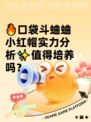 🔥口袋斗蛐蛐小红帽实力分析✨值得培养吗？