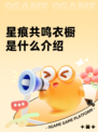 星痕共鸣衣橱是什么介绍