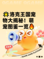 🌟洛克王国宠物大揭秘！萌宠图鉴一览🔥