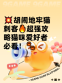 💥胡闹地牢猫刺客🔥超强攻略猫咪爱好者必看！🐾