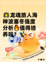 🌟龙魂旅人海神波塞冬强度分析🔥值得培养吗？✨