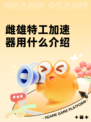 雌雄特工加速器用什么介绍