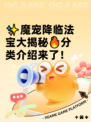 ✨魔宠降临法宝大揭秘🔥分类介绍来了！