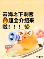 云海之下刺客🔥超全介绍来啦！！！✨