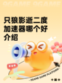 只狼影逝二度加速器哪个好介绍