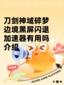 刀剑神域碎梦边境黑屏闪退加速器有用吗介绍