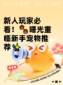 新人玩家必看！🐾曙光重临新手宠物推荐✨