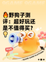 🔥野狗子测评：超好玩还是不值得买？💡
