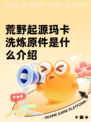 荒野起源玛卡洗炼原件是什么介绍