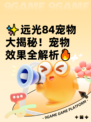 ✨远光84宠物大揭秘！宠物效果全解析🔥
