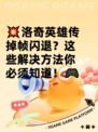 💥洛奇英雄传掉帧闪退？这些解决方法你必须知道！🎮