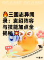🔥三国志异闻录：袁绍阵容与技能加点全揭秘💥