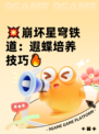 💥崩坏星穹铁道：遐蝶培养技巧🔥