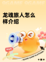 龙魂旅人怎么样介绍