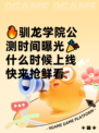 🔥驯龙学院公测时间曝光🎉什么时候上线快来抢鲜看