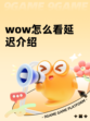 wow怎么看延迟介绍