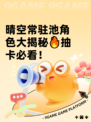 晴空常驻池角色大揭秘🔥抽卡必看！