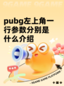 pubg左上角一行参数分别是什么介绍